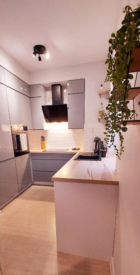 White Velvet Apartamento Gorzów Wielkopolski Exterior foto